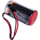 Robiton ER26500-DP с коннектором PH1
